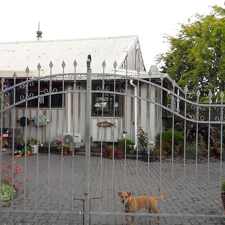 Absolute Riverside Bed & Breakfast Turangi Exterior photo